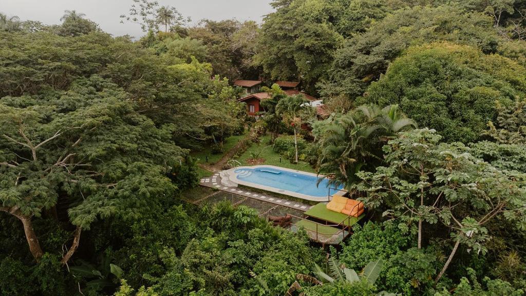 Lodge Mirador - Great Swimming Pool - Kitchen - Bbq - Netflix Tajo Alto Exterior foto