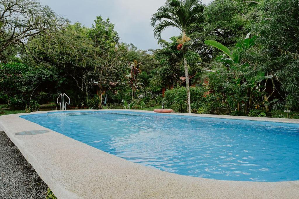 Lodge Mirador - Great Swimming Pool - Kitchen - Bbq - Netflix Tajo Alto Exterior foto