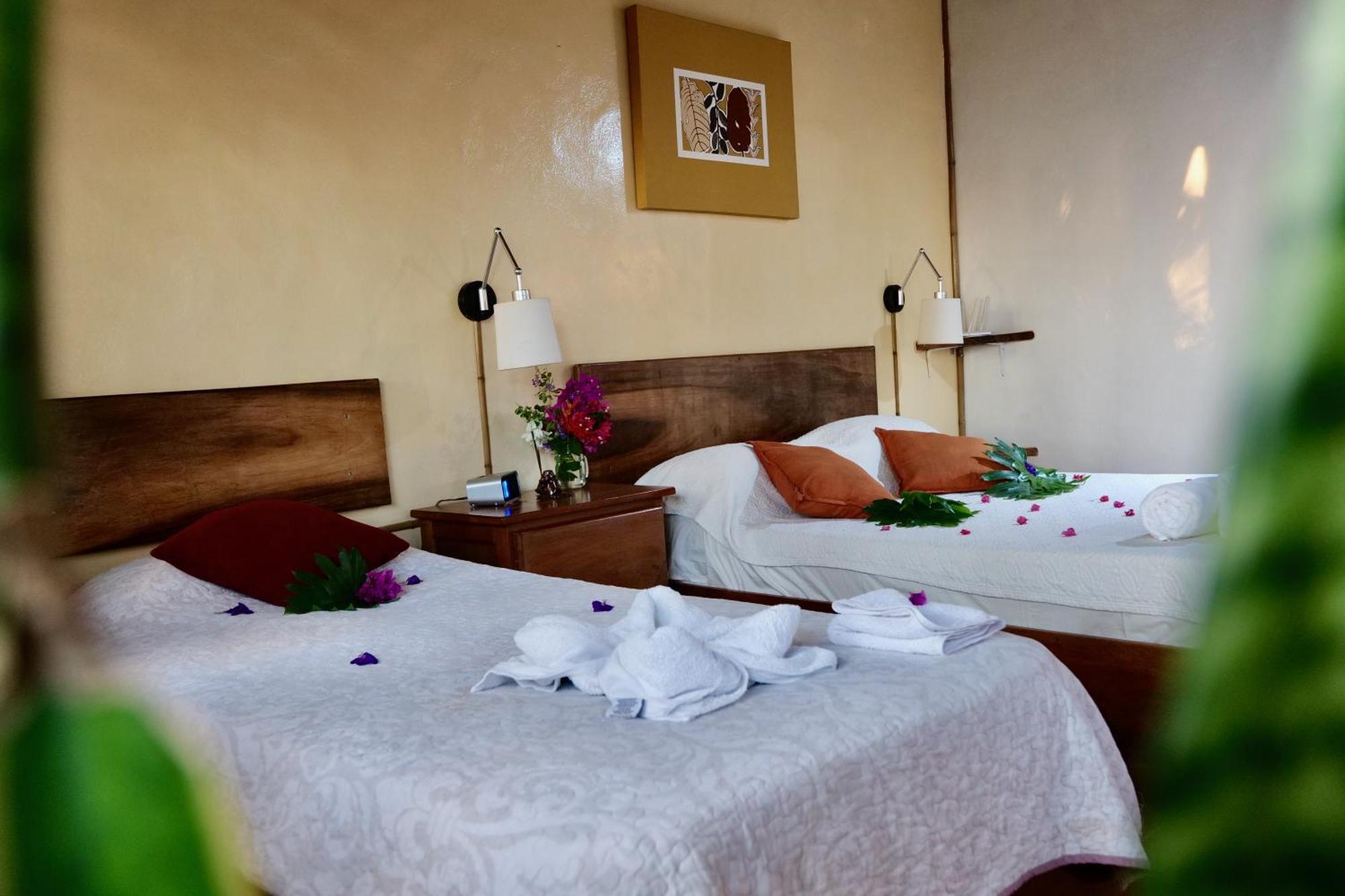 Lodge Mirador - Great Swimming Pool - Kitchen - Bbq - Netflix Tajo Alto Exterior foto